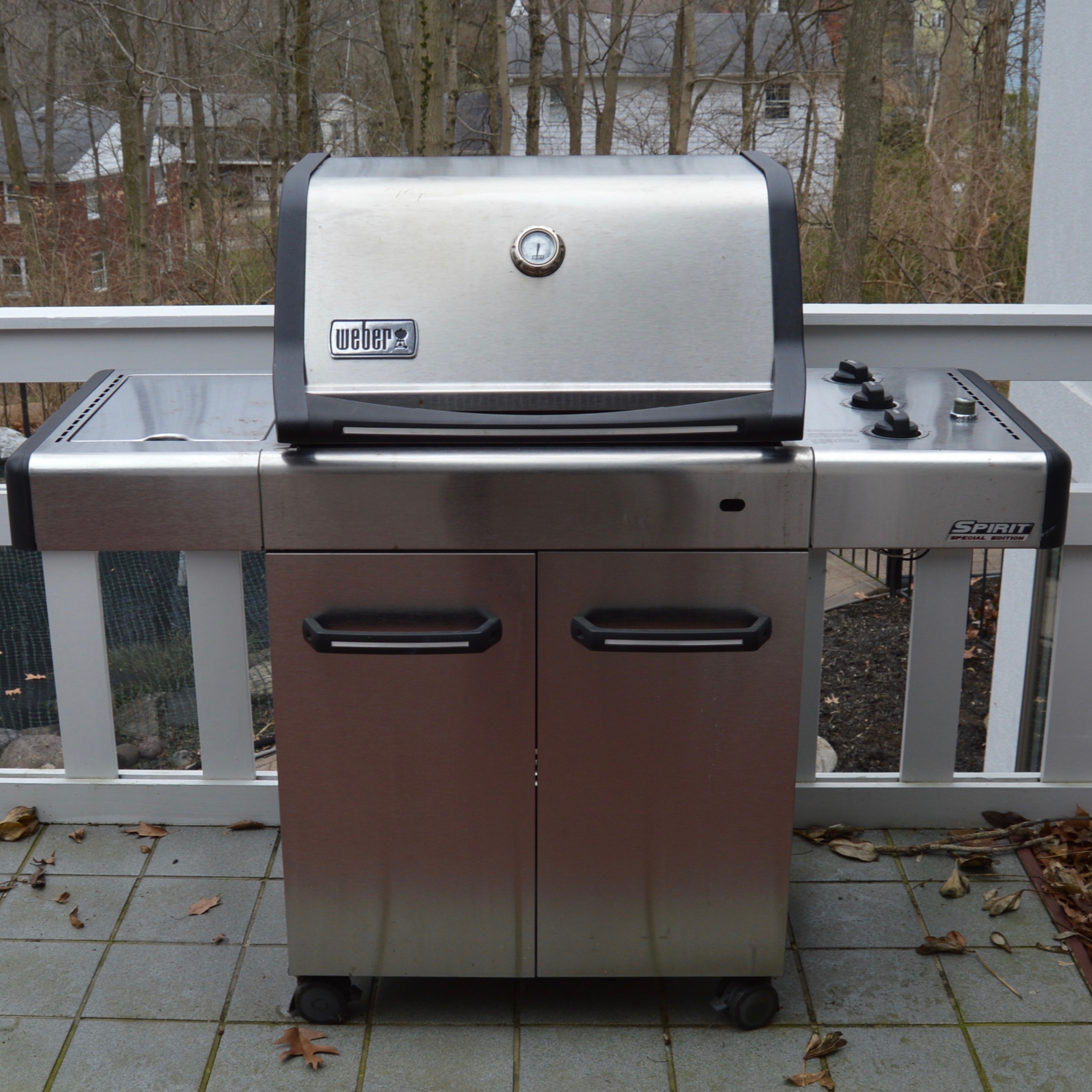 Weber spirit deals special edition