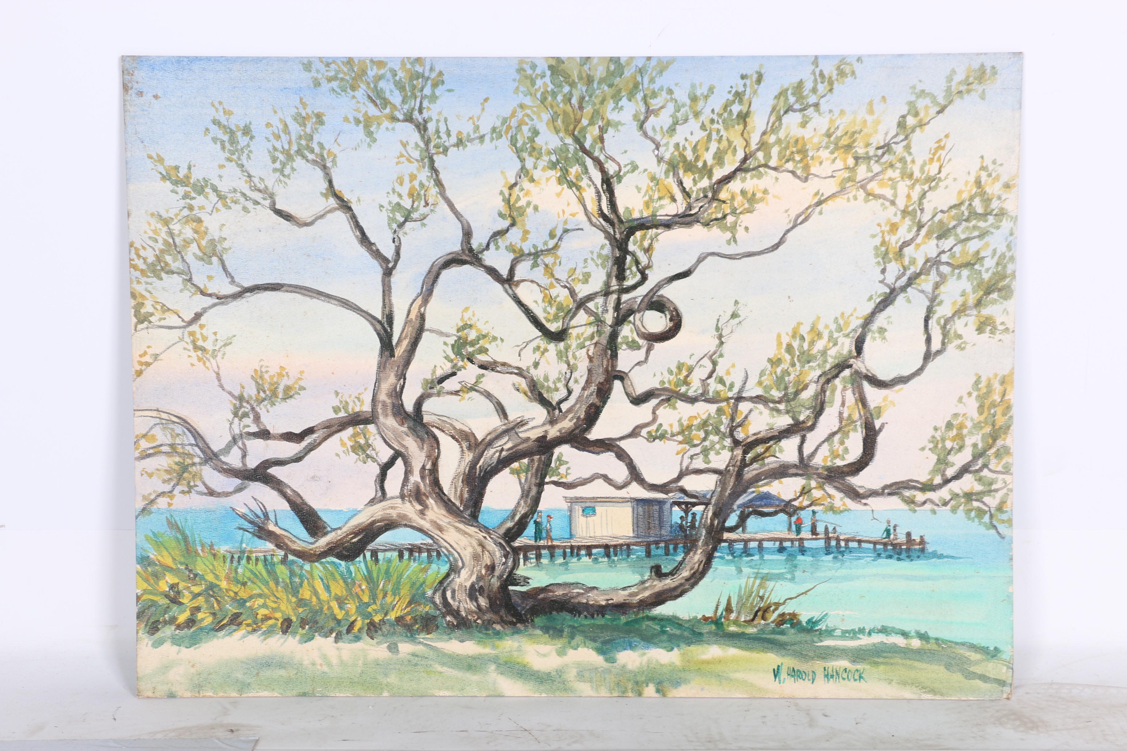 Acrylic on Panel Paintings Featuring W. Harold Hancock "Buttonwood Tree"