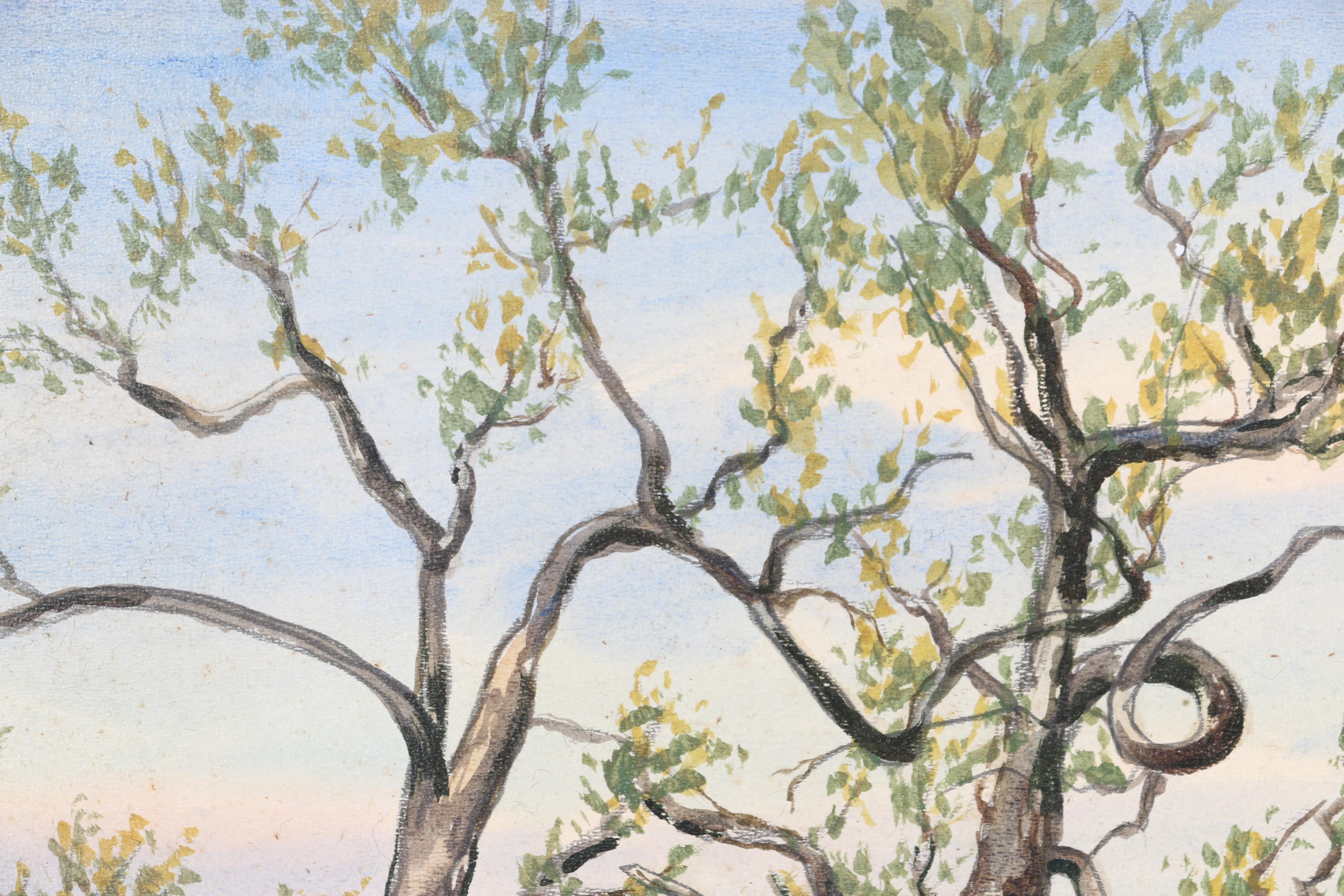 Acrylic on Panel Paintings Featuring W. Harold Hancock "Buttonwood Tree"