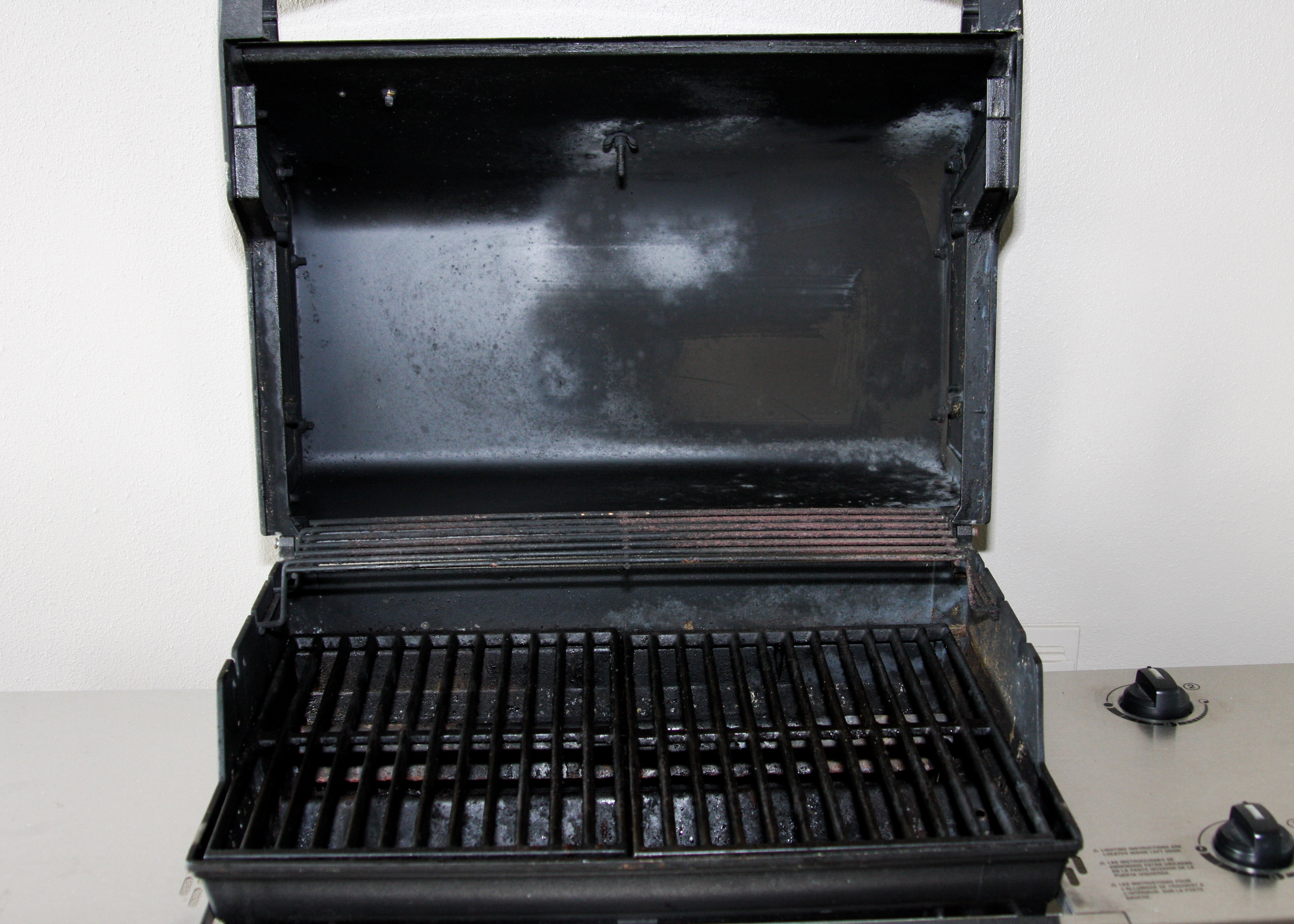 Weber Spirit Gas Grill