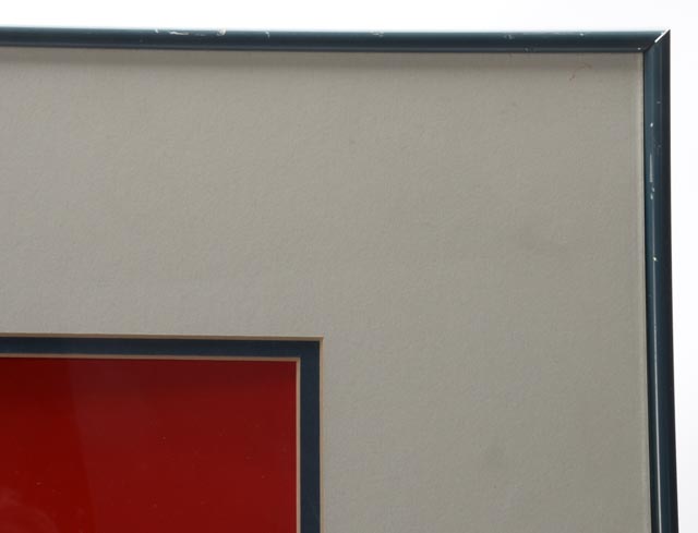 1996 "Space Jam" Framed Movie Poster