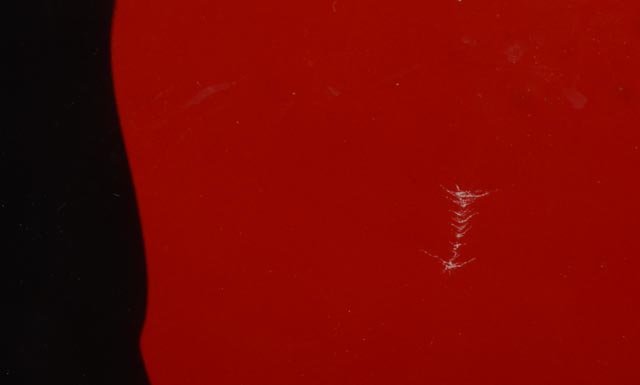 1996 "Space Jam" Framed Movie Poster