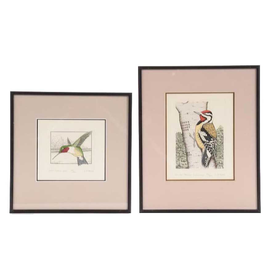 Pair of Lucius Dubose Hand-Colored Limited Edition Bird Etchings