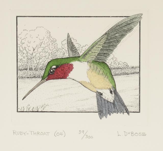 Pair of Lucius Dubose Hand-Colored Limited Edition Bird Etchings