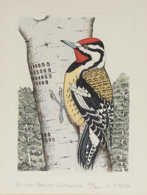 Pair of Lucius Dubose Hand-Colored Limited Edition Bird Etchings
