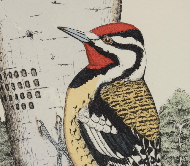 Pair of Lucius Dubose Hand-Colored Limited Edition Bird Etchings
