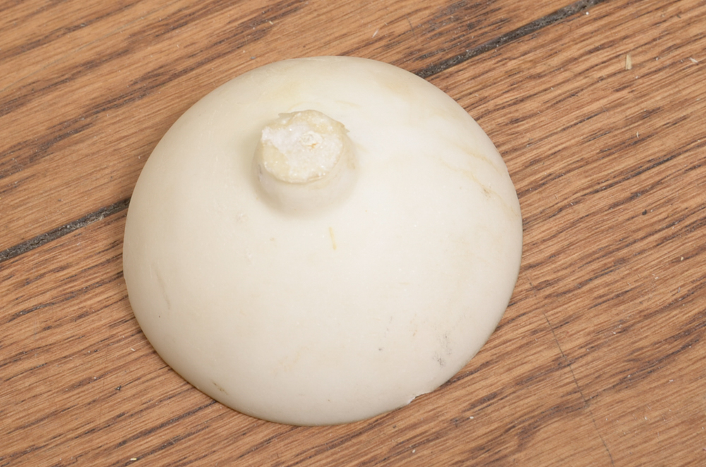 Studio of A. Gambi Marble Sculpture of Young Lady Raising a Glass
