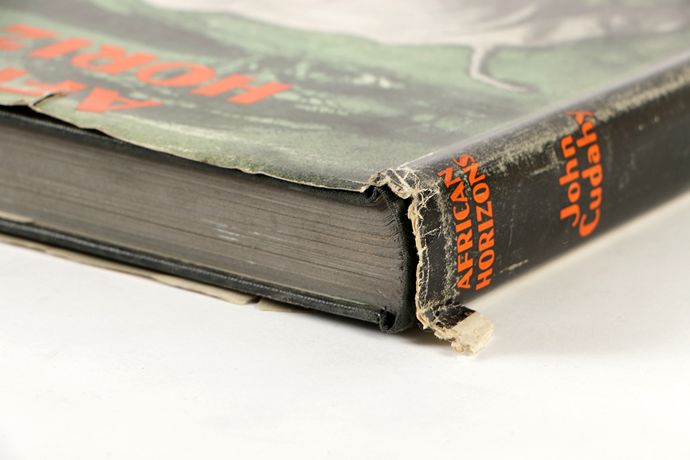 1930 "African Horizon" by John Cudahy