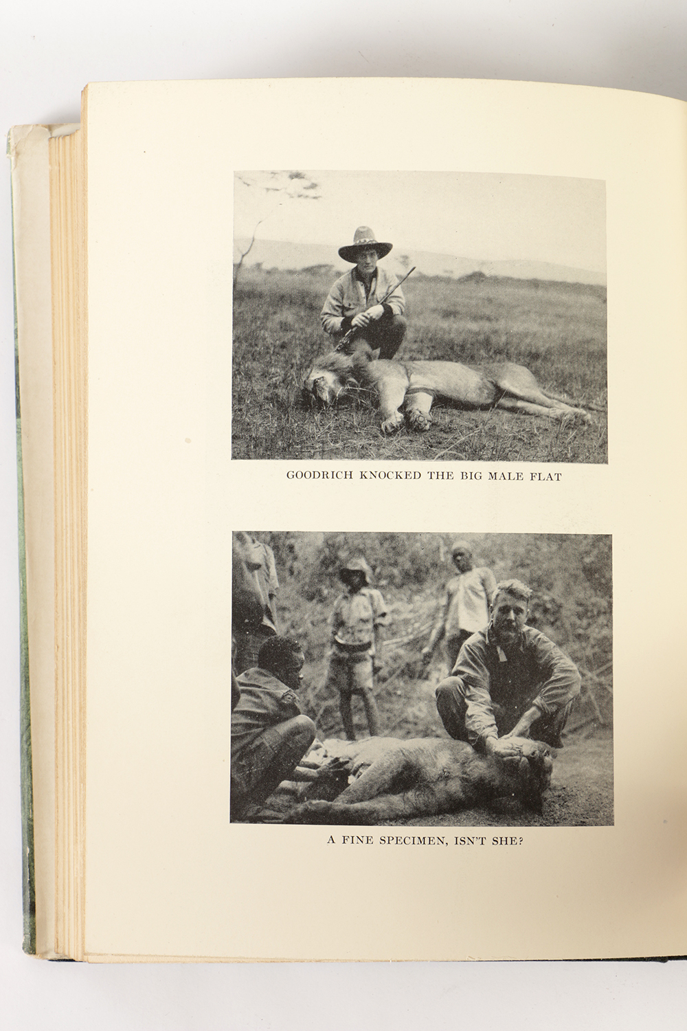 1930 "African Horizon" by John Cudahy