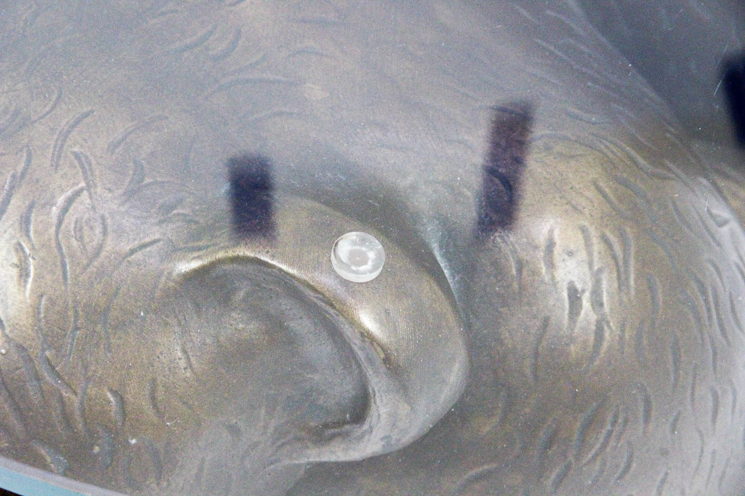 Presidential Furniture Co. Glass Top Coffee Table With Bear Cub Base