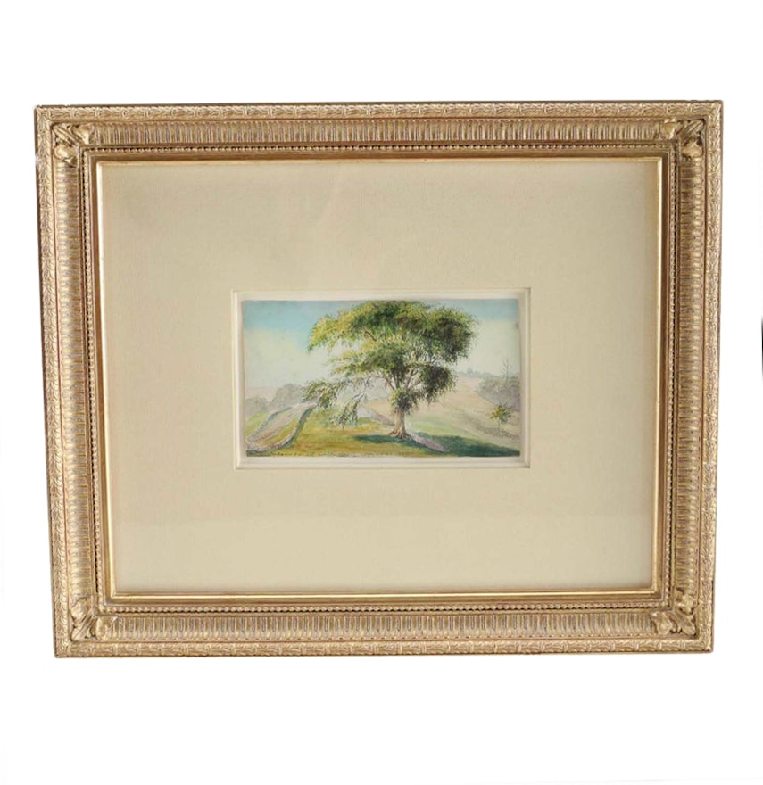Charles DeWolf Brownell Watercolor Painting on Paper "The Sunset Elm"