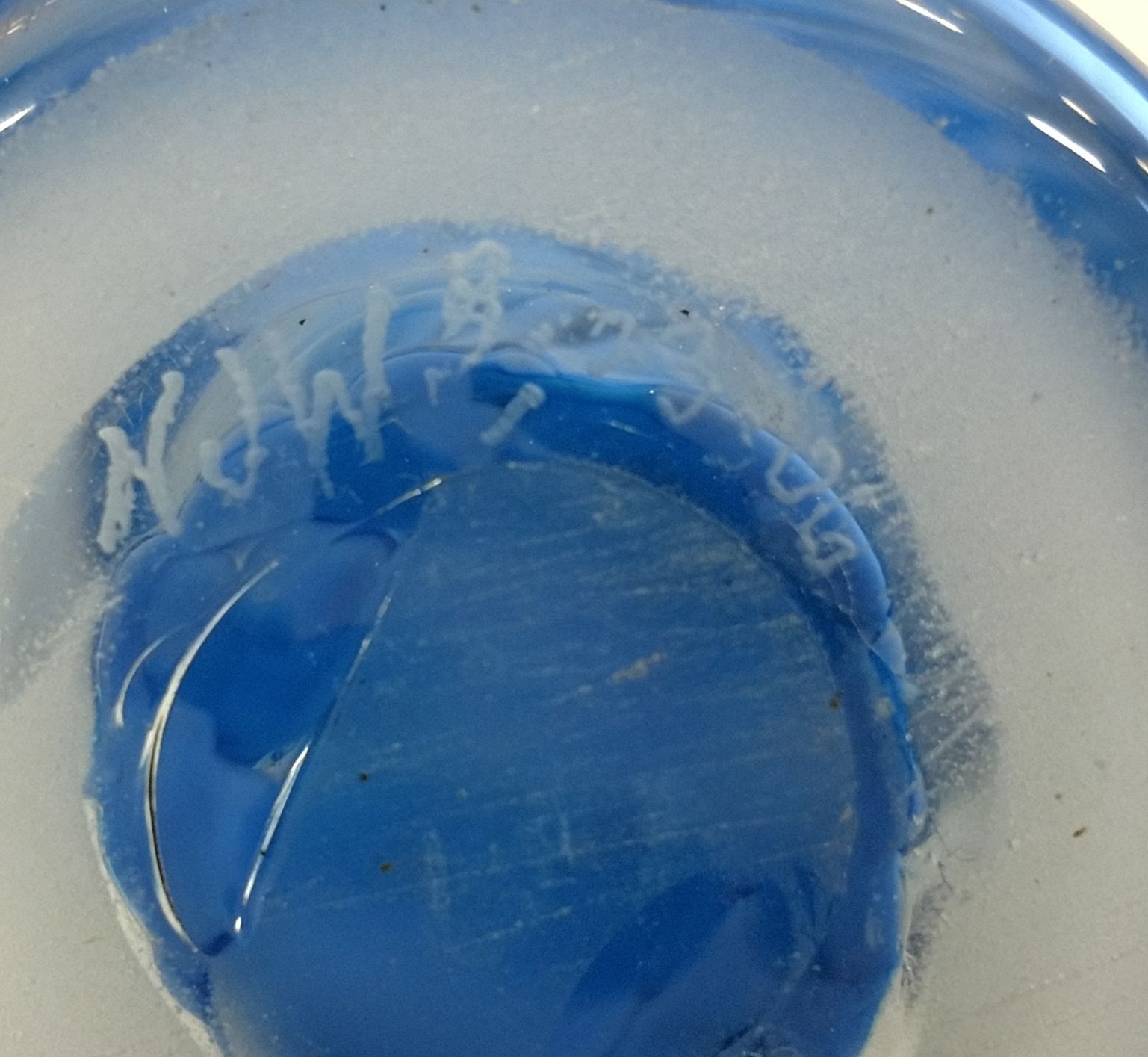 Hand Blown Art Glass Vase