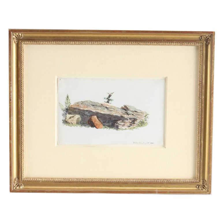 Charles DeWolf Brownell Watercolor Painting "Rock Study, White Mountains"