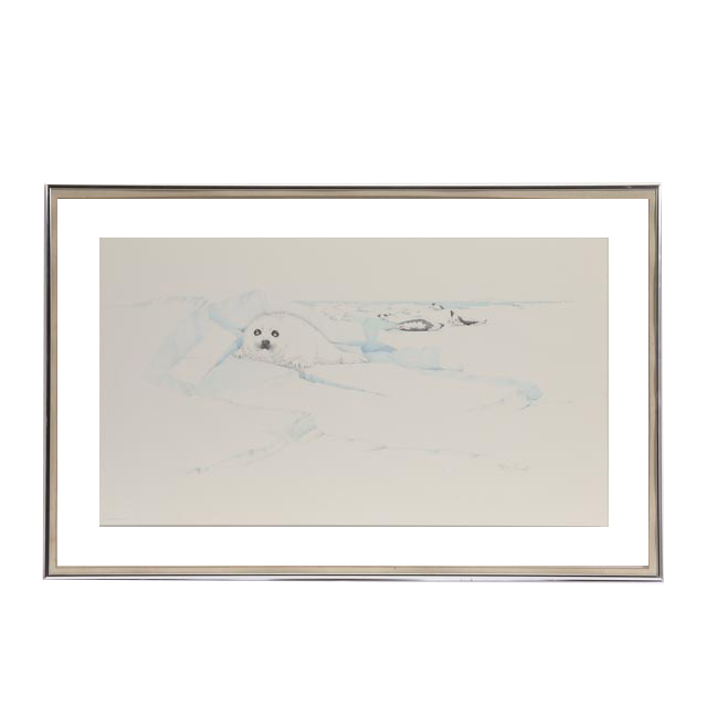 Peter Parnall Signed Limited Edition Lithograph "Harp Seal"