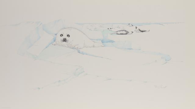 Peter Parnall Signed Limited Edition Lithograph "Harp Seal"