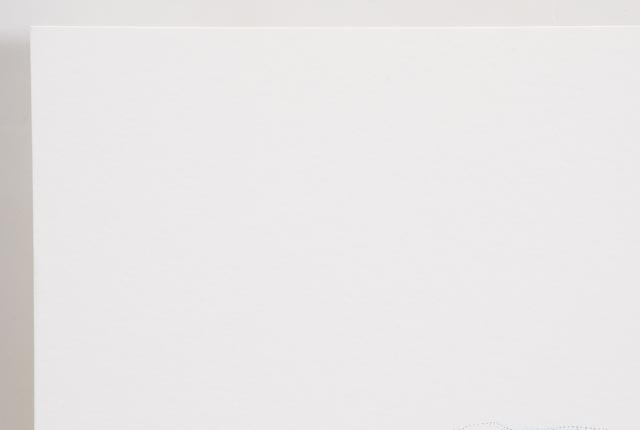 Peter Parnall Signed Limited Edition Lithograph "Harp Seal"