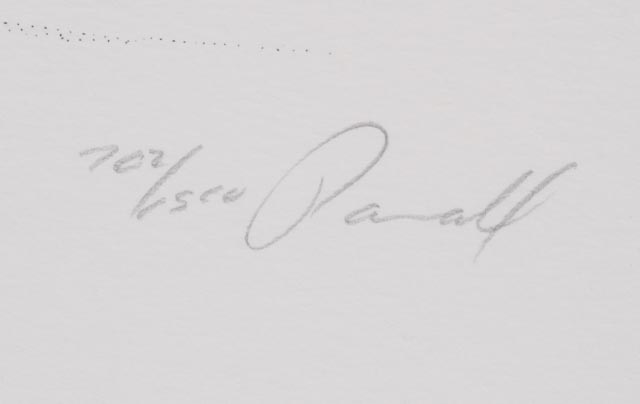 Peter Parnall Signed Limited Edition Lithograph "Harp Seal"