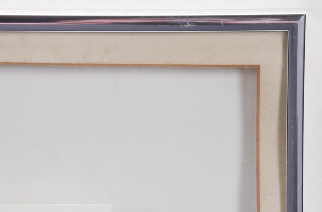 Peter Parnall Signed Limited Edition Lithograph "Harp Seal"