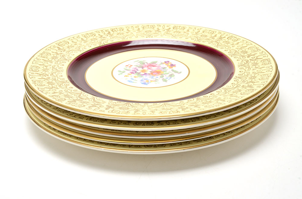 "Pareek" by Johnson Brothers Dinner Plates