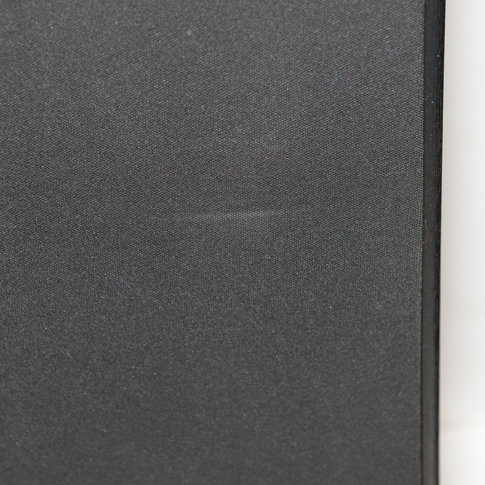 Onkyo Floor Speakers