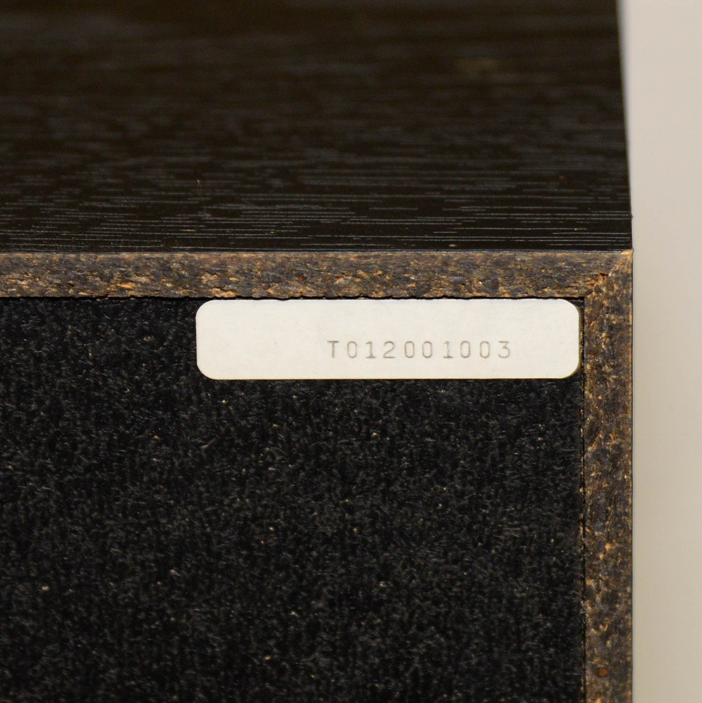 Onkyo Floor Speakers