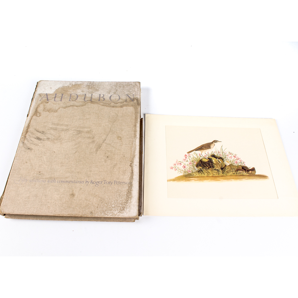 "Audubon Birds of America: Fifty Selections with Commentaries" Lithographs