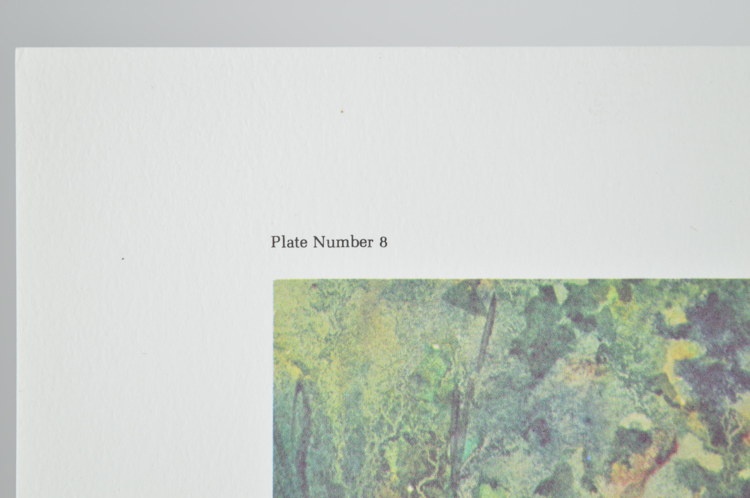 Paul Sawyier Limited Edition Prints "Knight's Bridge" and "View from Knight's Bridge"