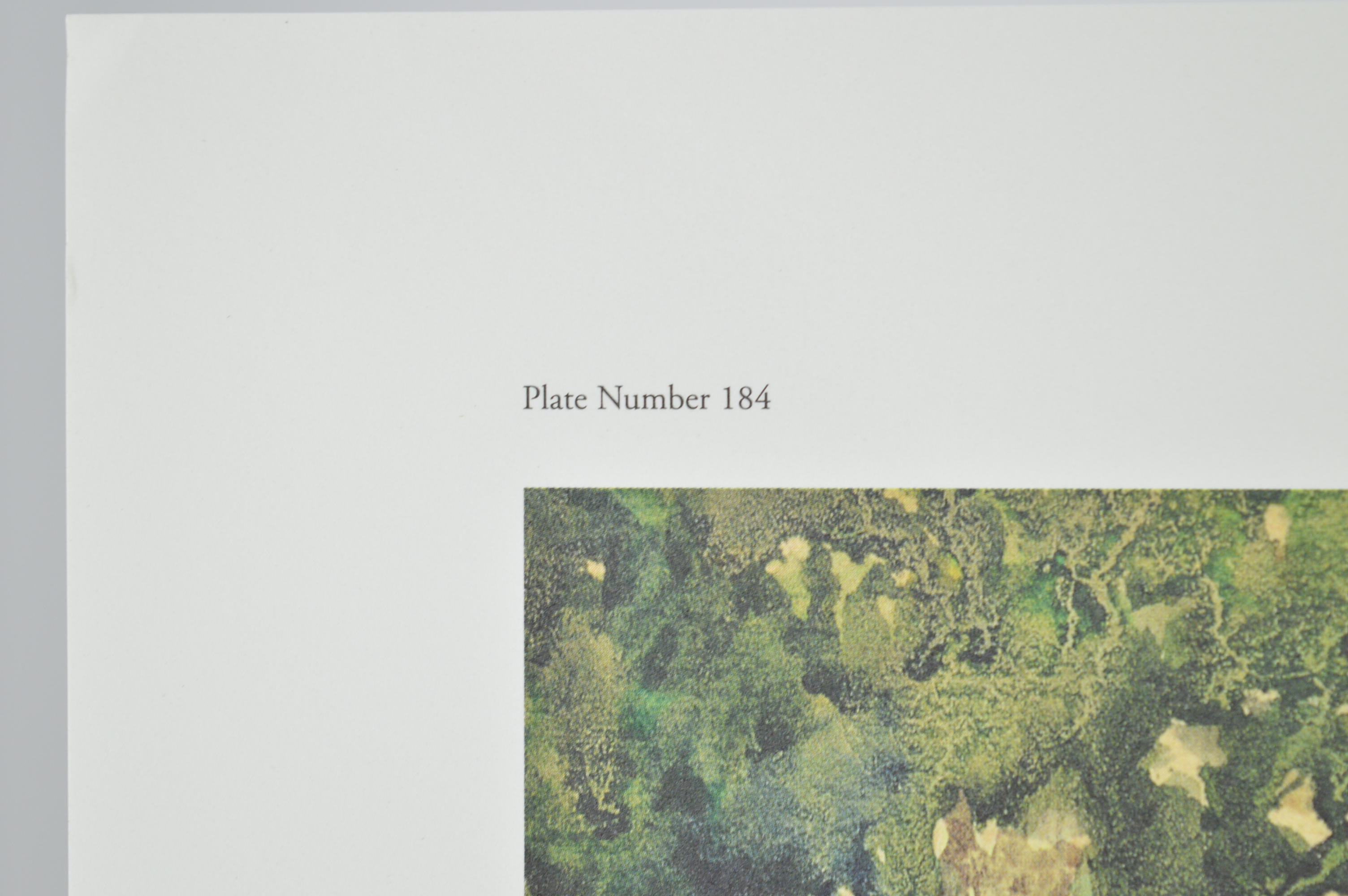 Paul Sawyier Limited Edition Prints "Knight's Bridge" and "View from Knight's Bridge"