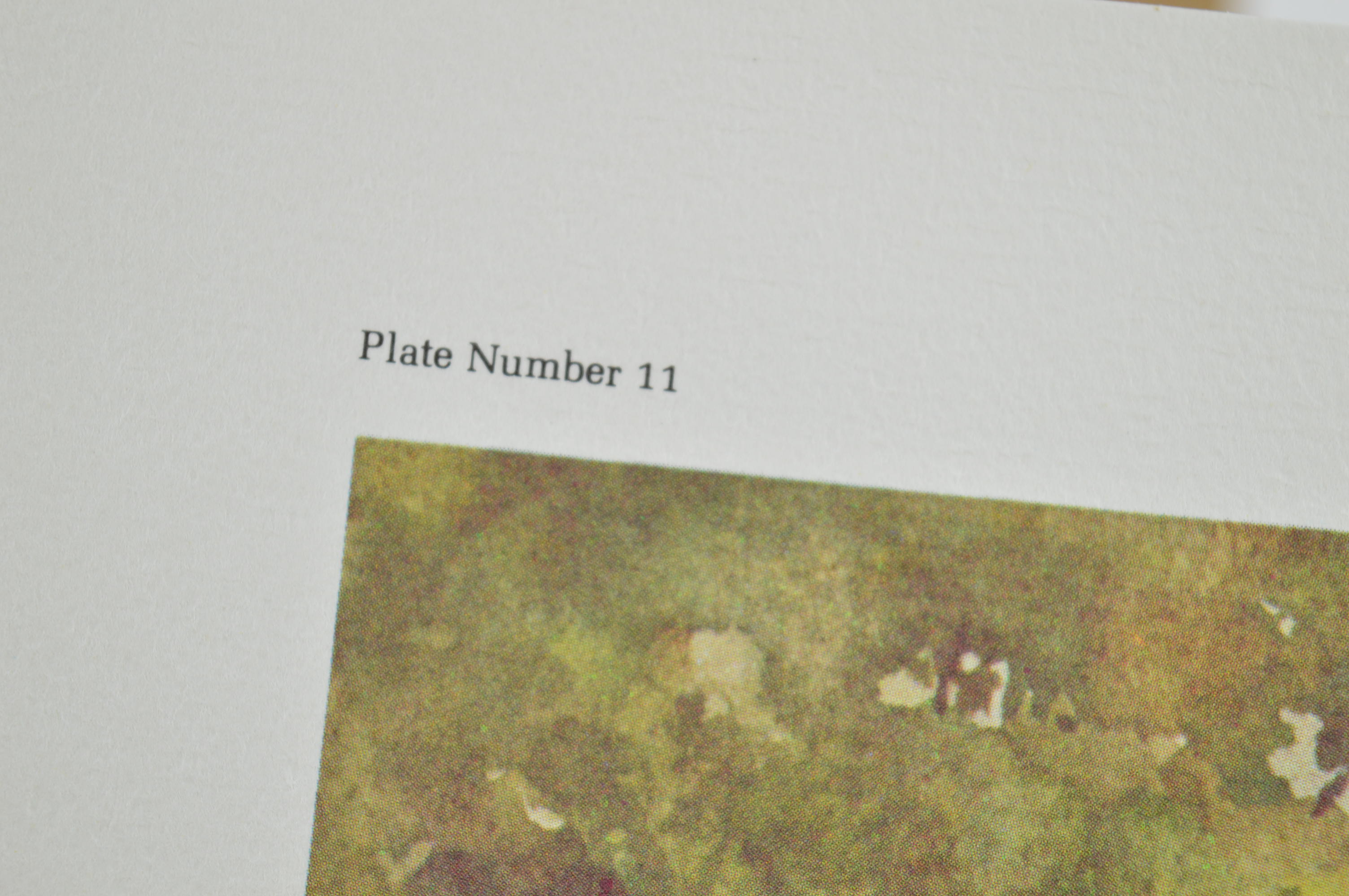 Paul Sawyier Limited Edition Prints "The Covered Bridge," "Frankfort's Bridge Street" and "Covered Bridge in Winter"