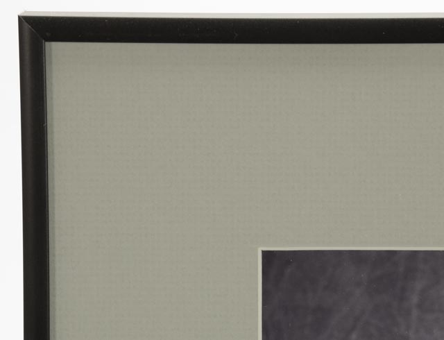 Framed Photo of Jack Scalia and Susan Lucci with Lucci Autograph