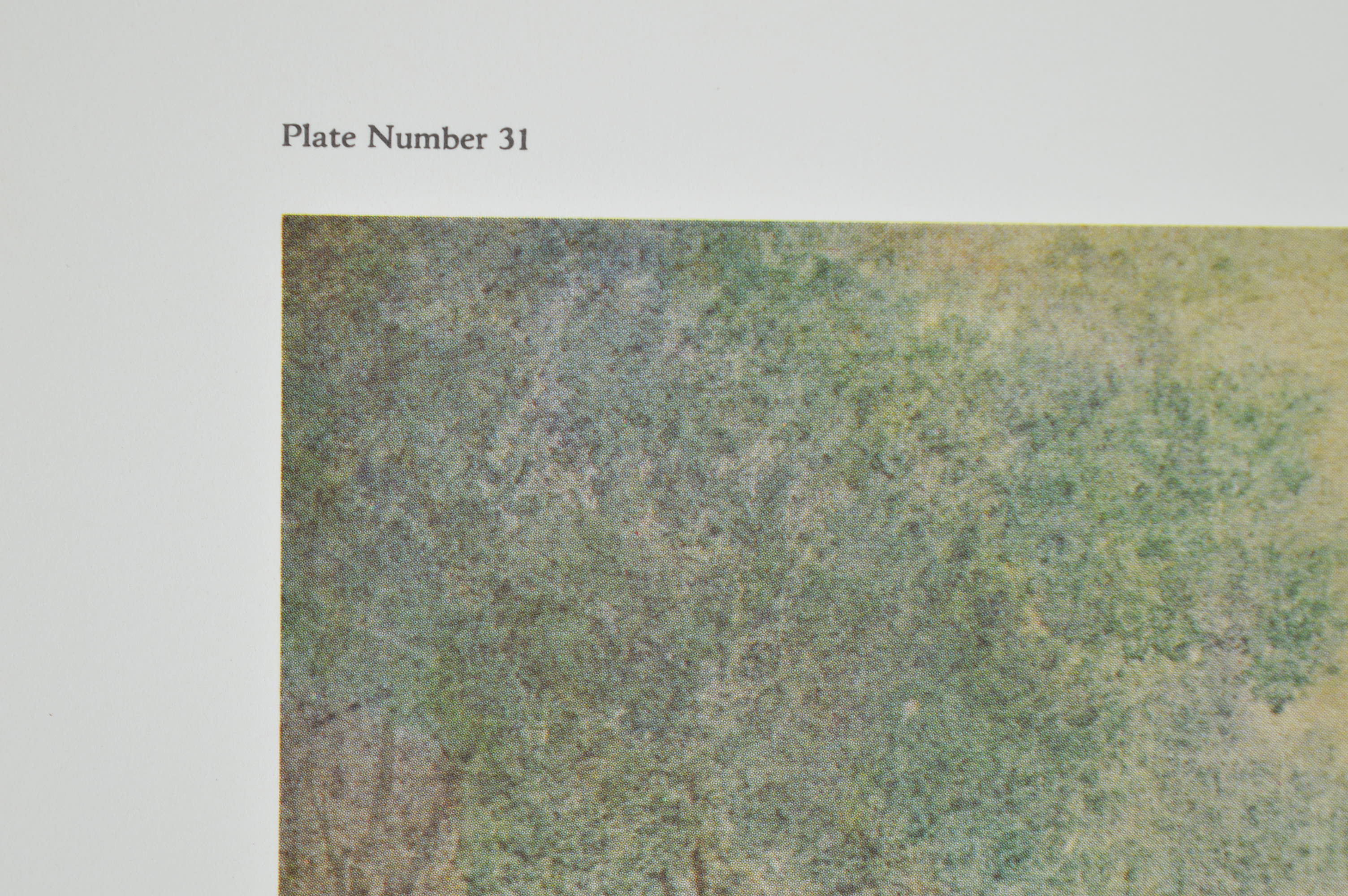 Paul Sawyier Limited Edition Prints "The Fountain," and "Old Capital Fountain"