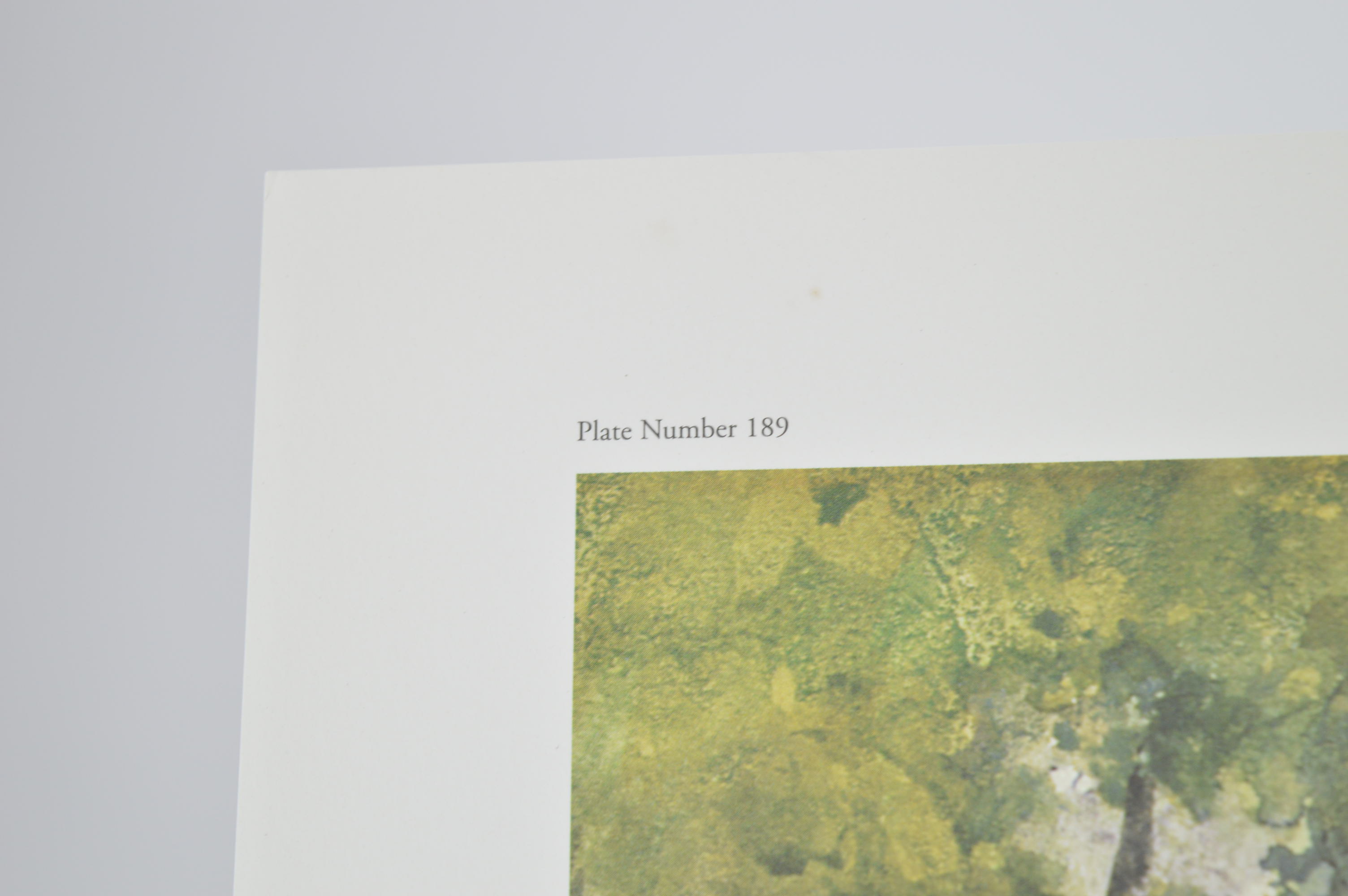 Paul Sawyier Limited Edition Prints "The Fountain," and "Old Capital Fountain"