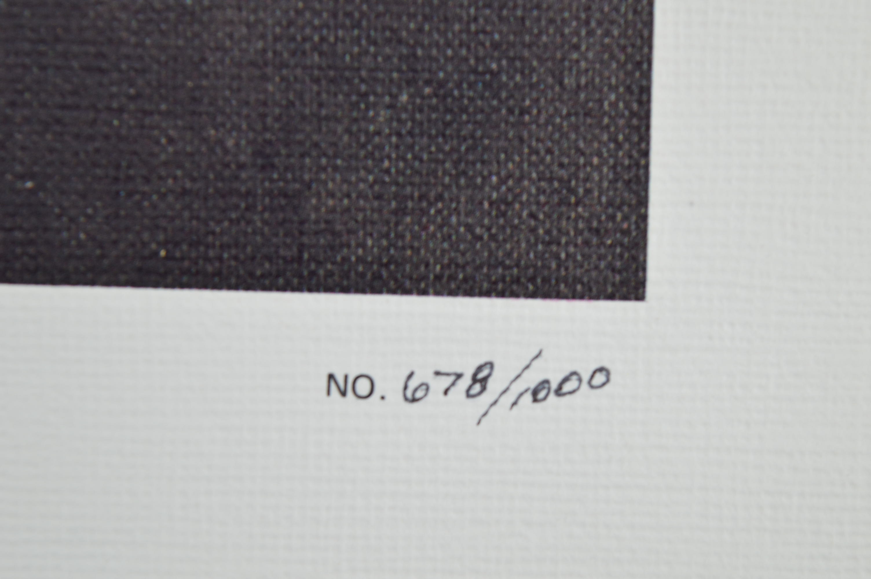 After Micael Duval Finnell Limited Edition Print "The King in Concert"