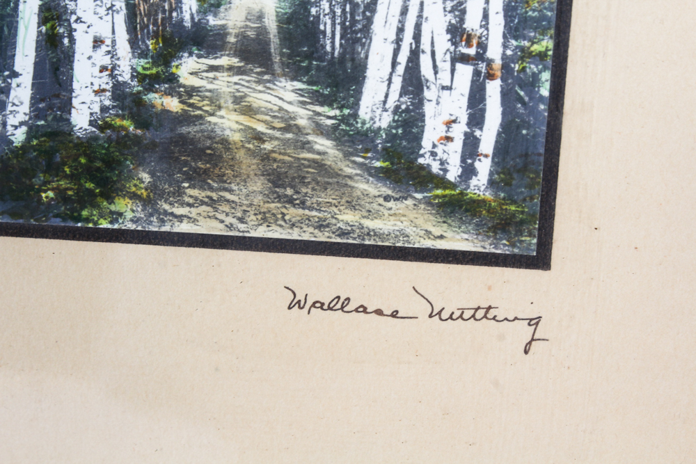 Wallace Nutting Tinted Photographs