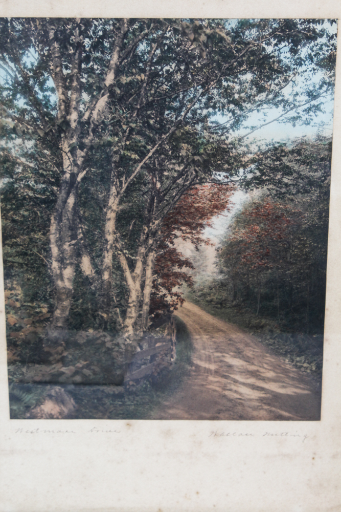 Wallace Nutting Tinted Photographs