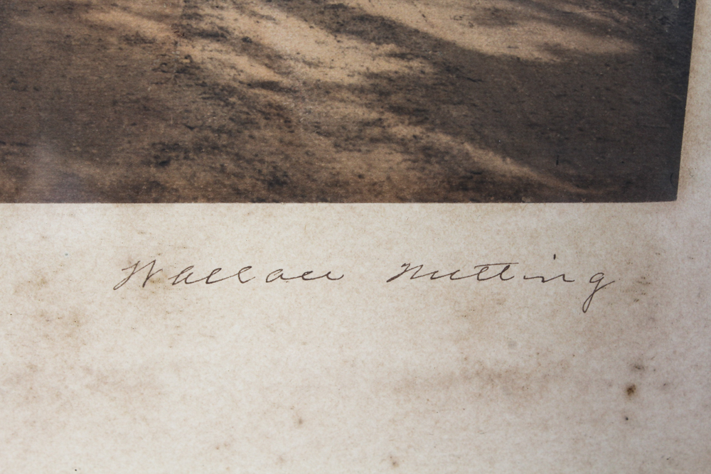 Wallace Nutting Tinted Photographs