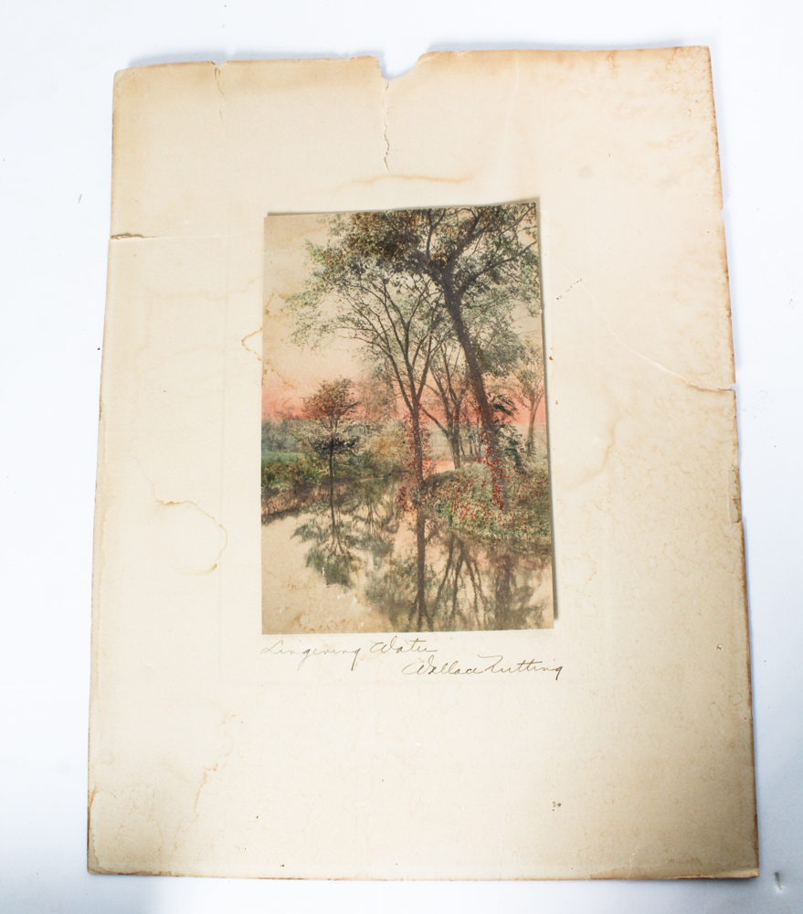 Wallace Nutting Tinted Photographs