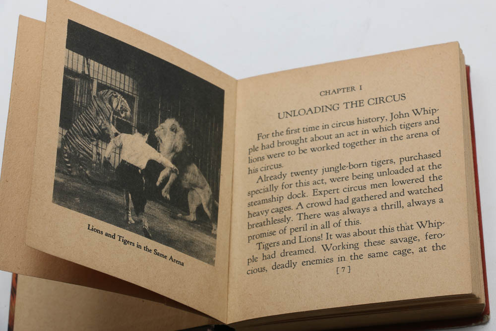 Collection of Vintage Movie-Themed Picture Books