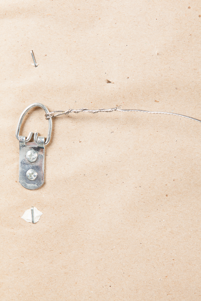 Canvas Print after Roberto Lombardi's "Poppy Fields"