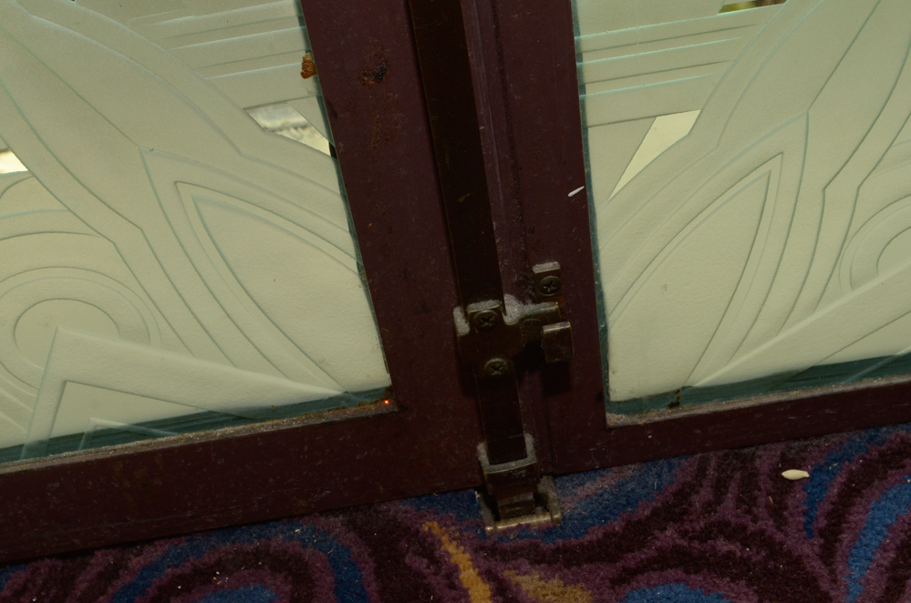 Etched Glass Pane Doors