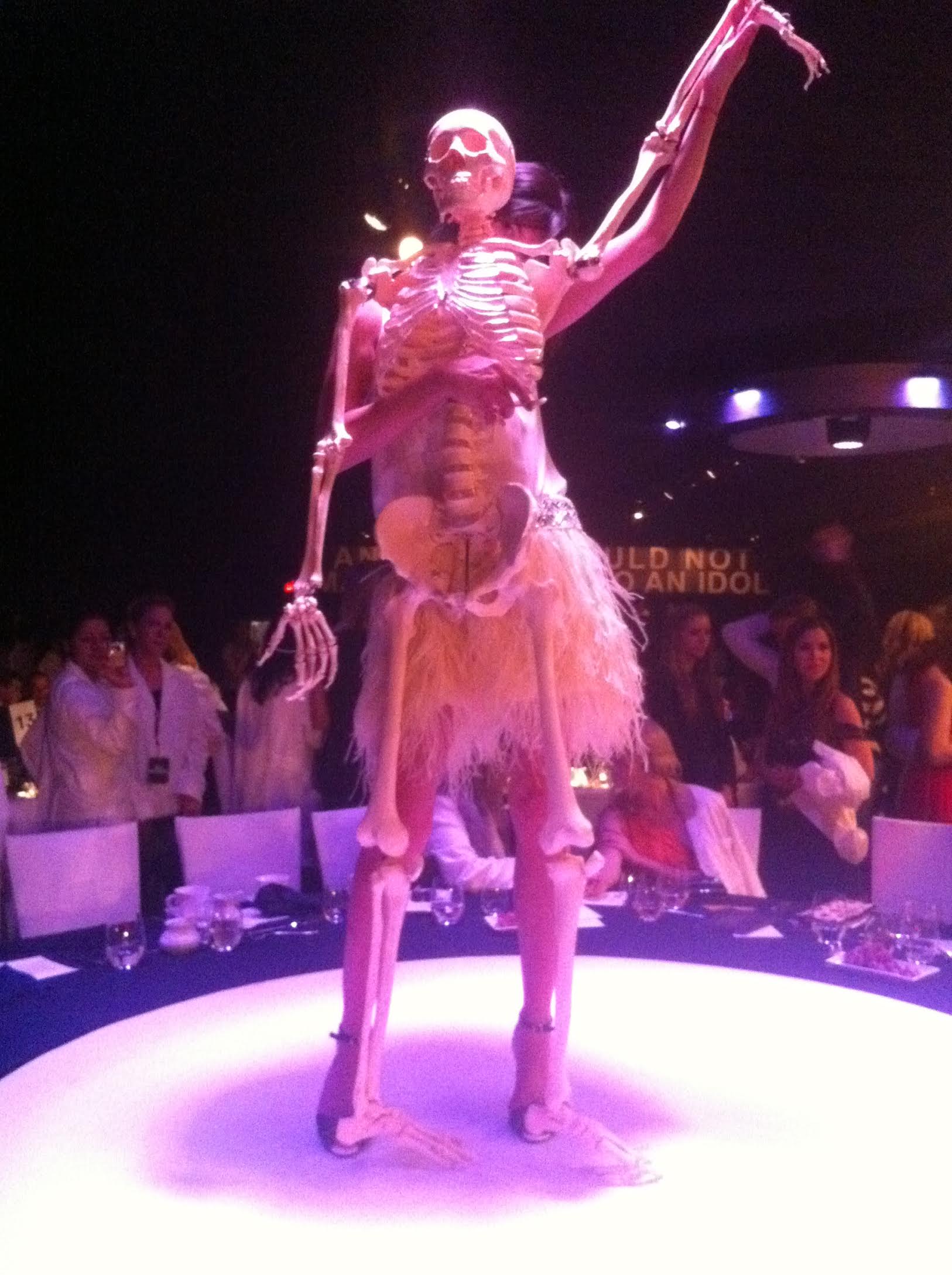 Anatomical Skeleton Model from the Marina Abramovic Art Gala 2011