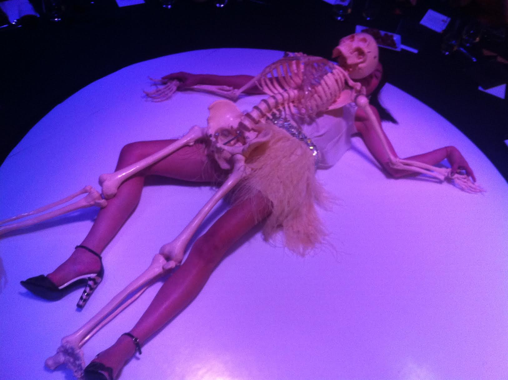 Anatomical Skeleton Model from the Marina Abramovic Art Gala 2011