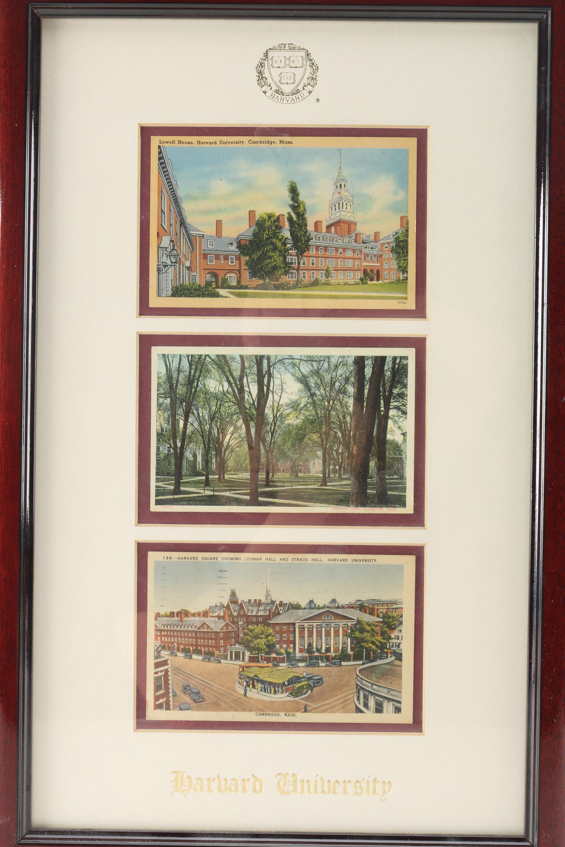 Framed Harvard University Postcards
