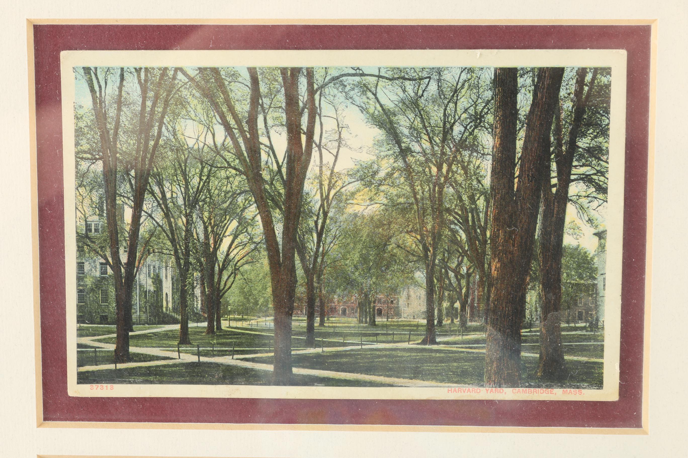 Framed Harvard University Postcards