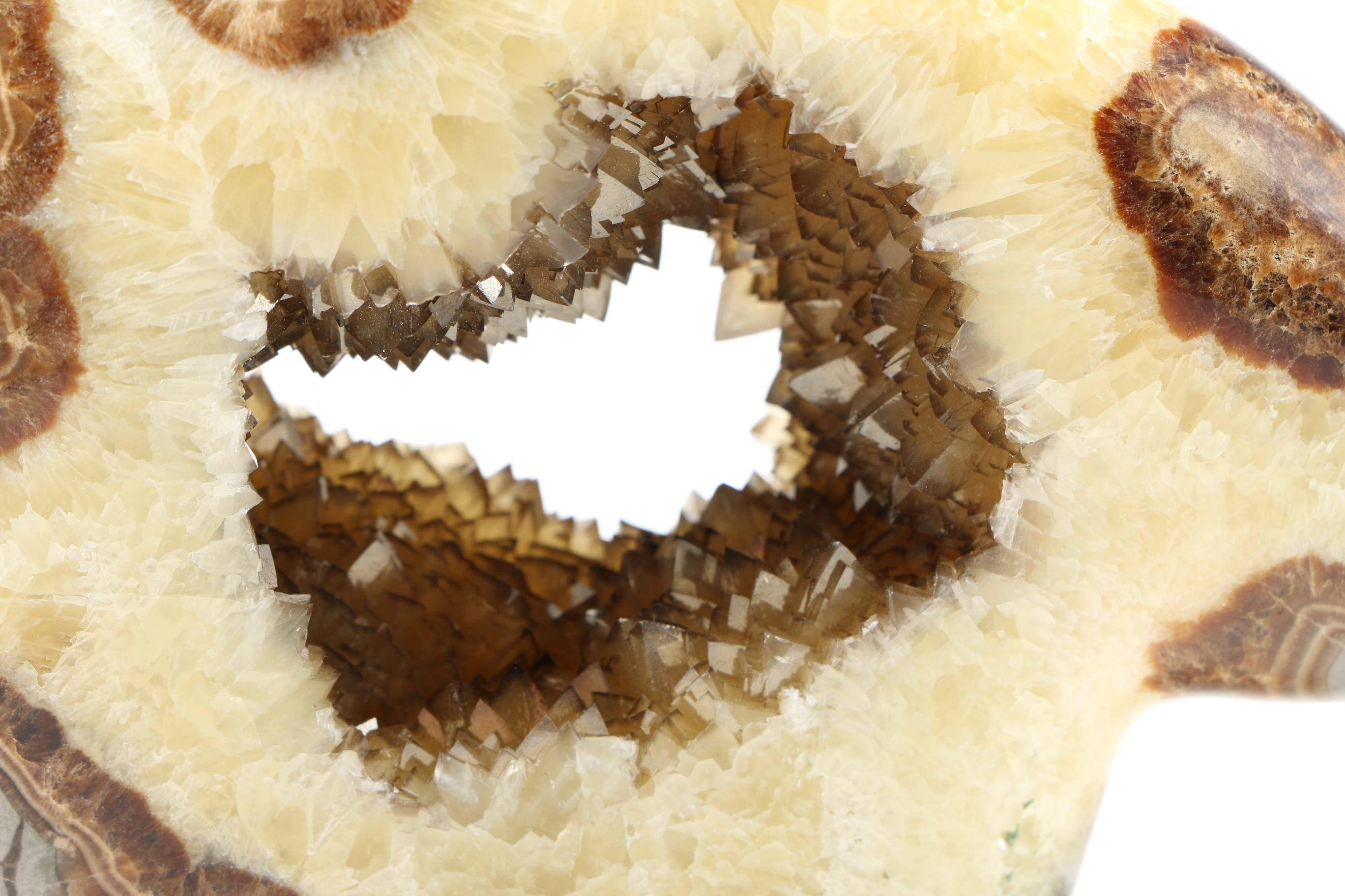 Carved Septarian Geode