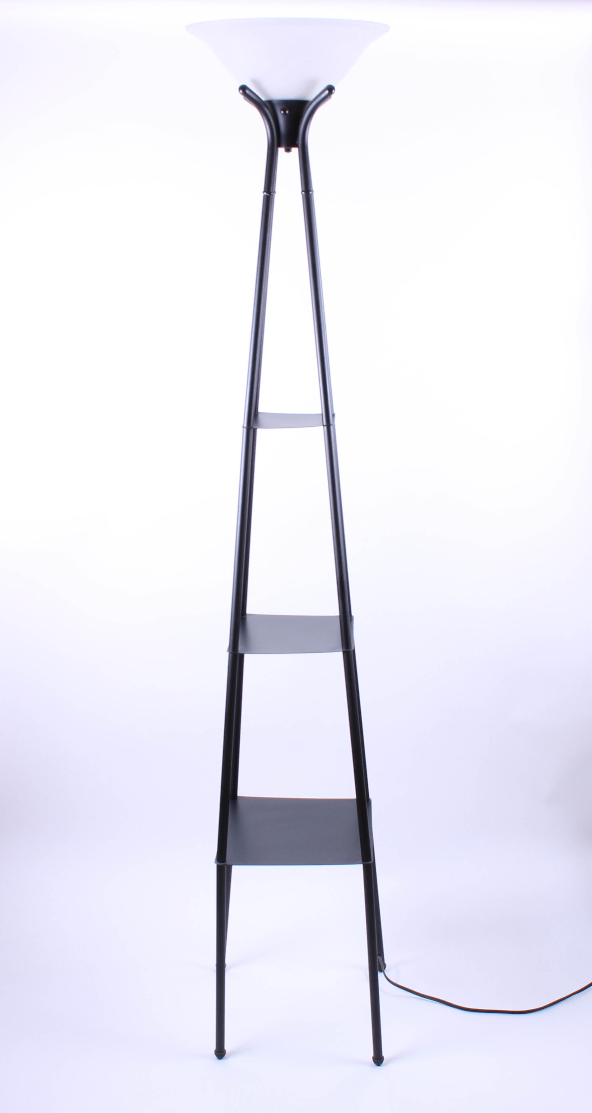 Contemporary Black Metal Floor Lamp