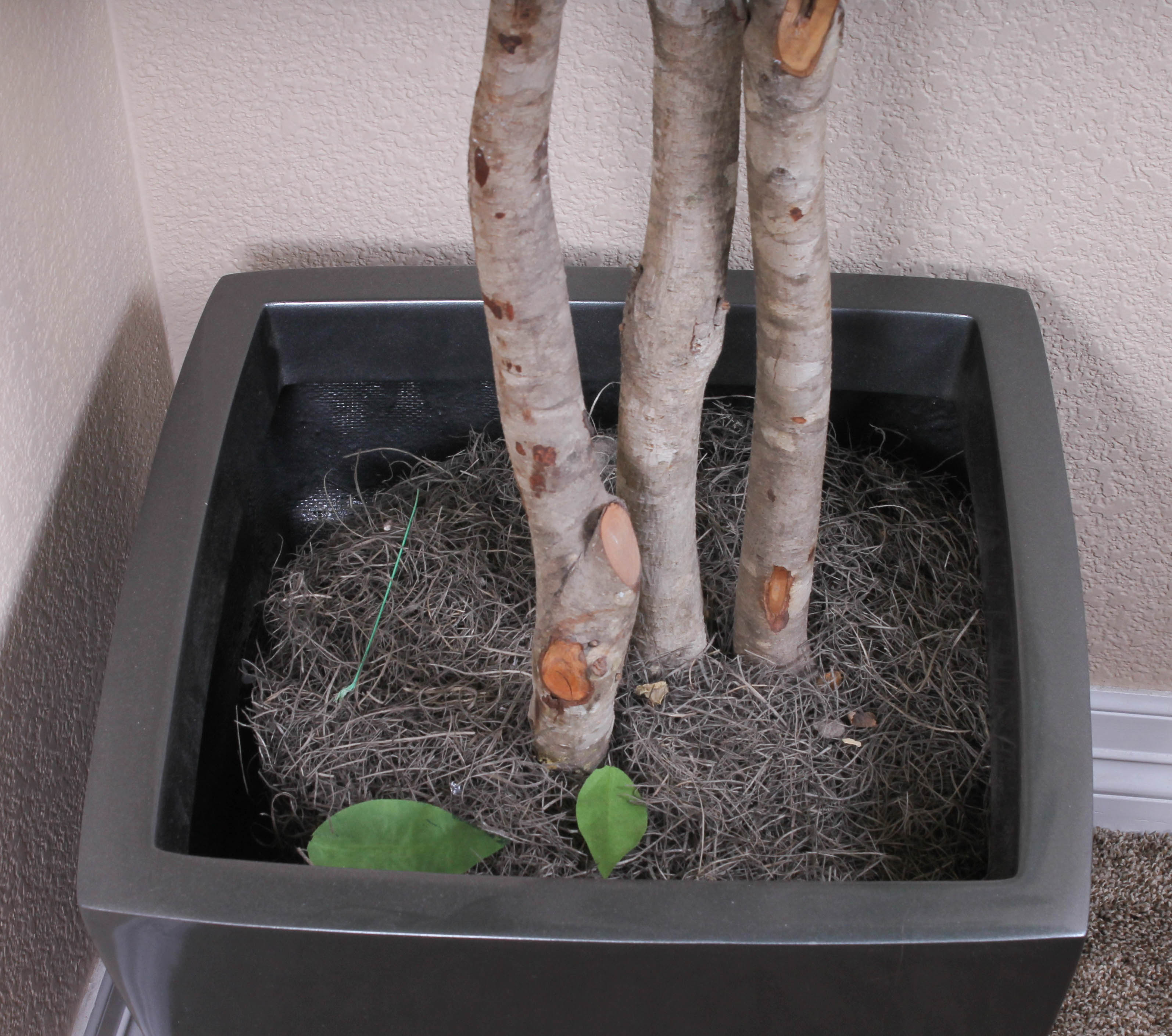 Large Faux Tree in Grey Planter