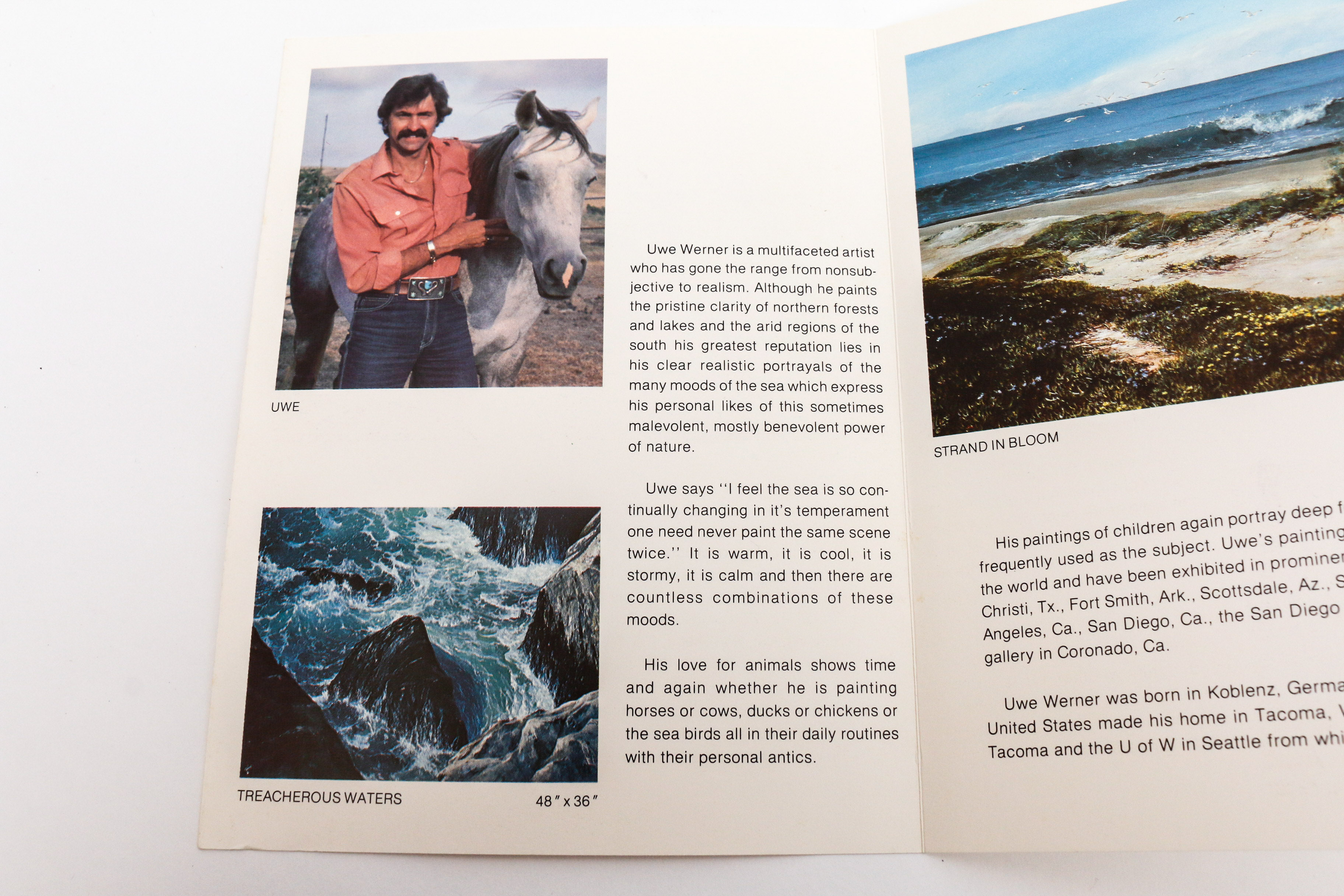 Uwe Werner Limited Edition Offset Lithograph "View of Point Loma"