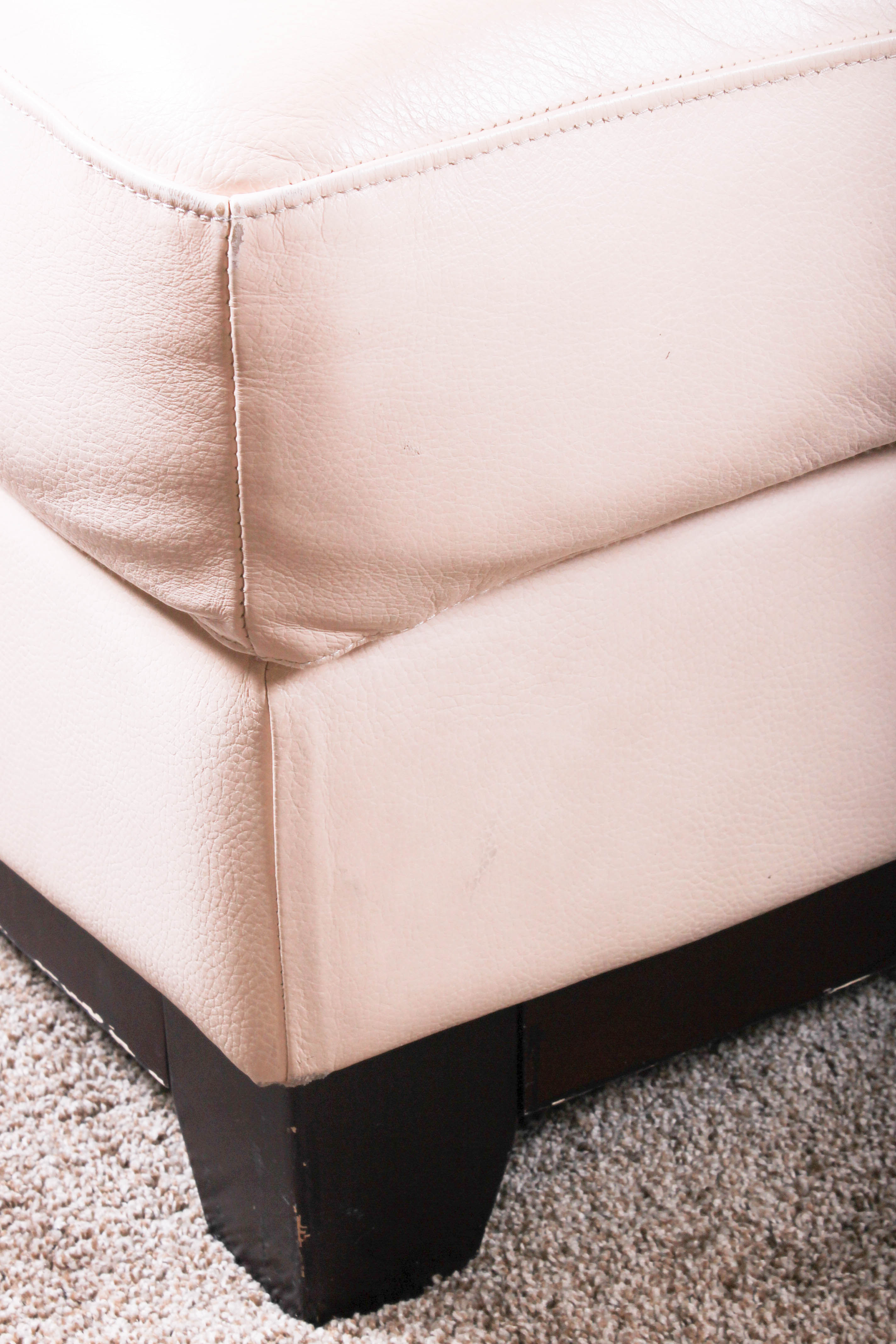 Contemporary Sofa Sectional with Ottoman