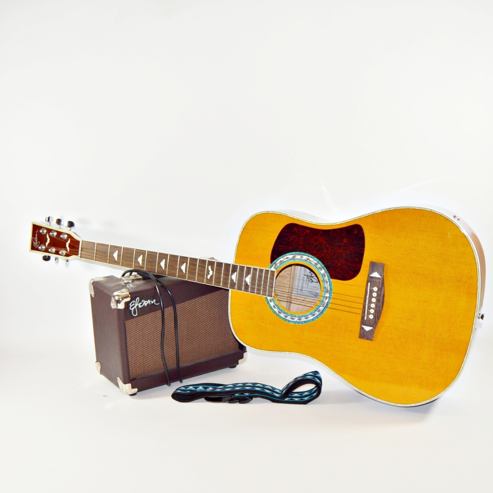 Esteban American Legacy Acoustic Guitar and Amplifier
